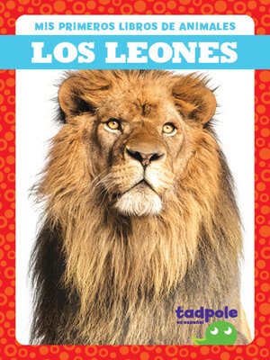 cover image of Los leones (Lions)